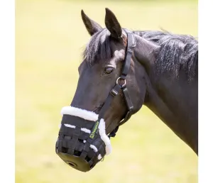 Fleece Lined Grazing Muzzle