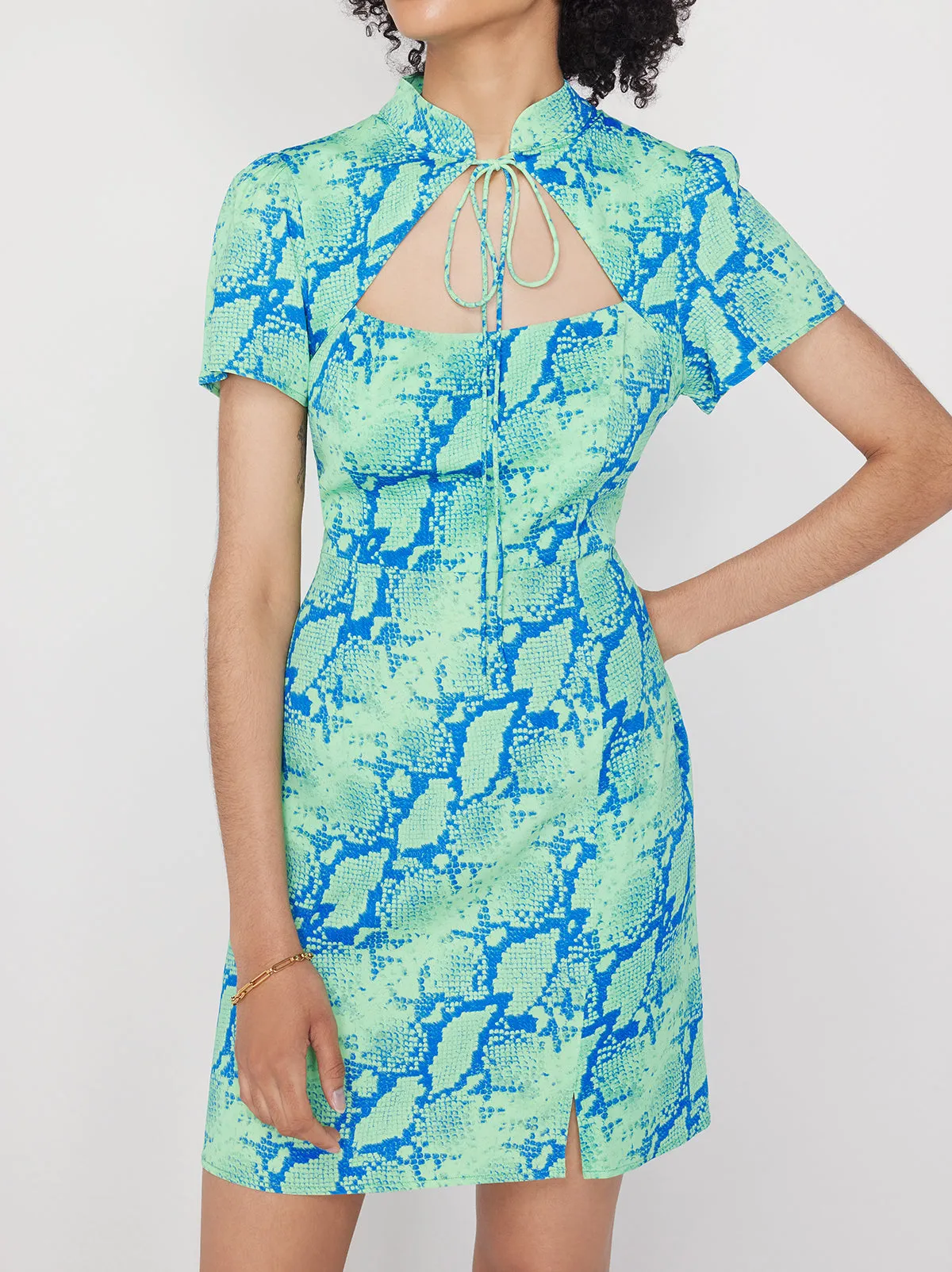 Imogen Blue Snake Print Mini Dress